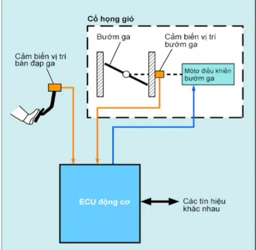GARAGE VES - SỬA LỖI MẤT CRUISE CONTROL TRÊN XE AUDI 3 Nguyên Lý Hoạt Động Cruise Control.