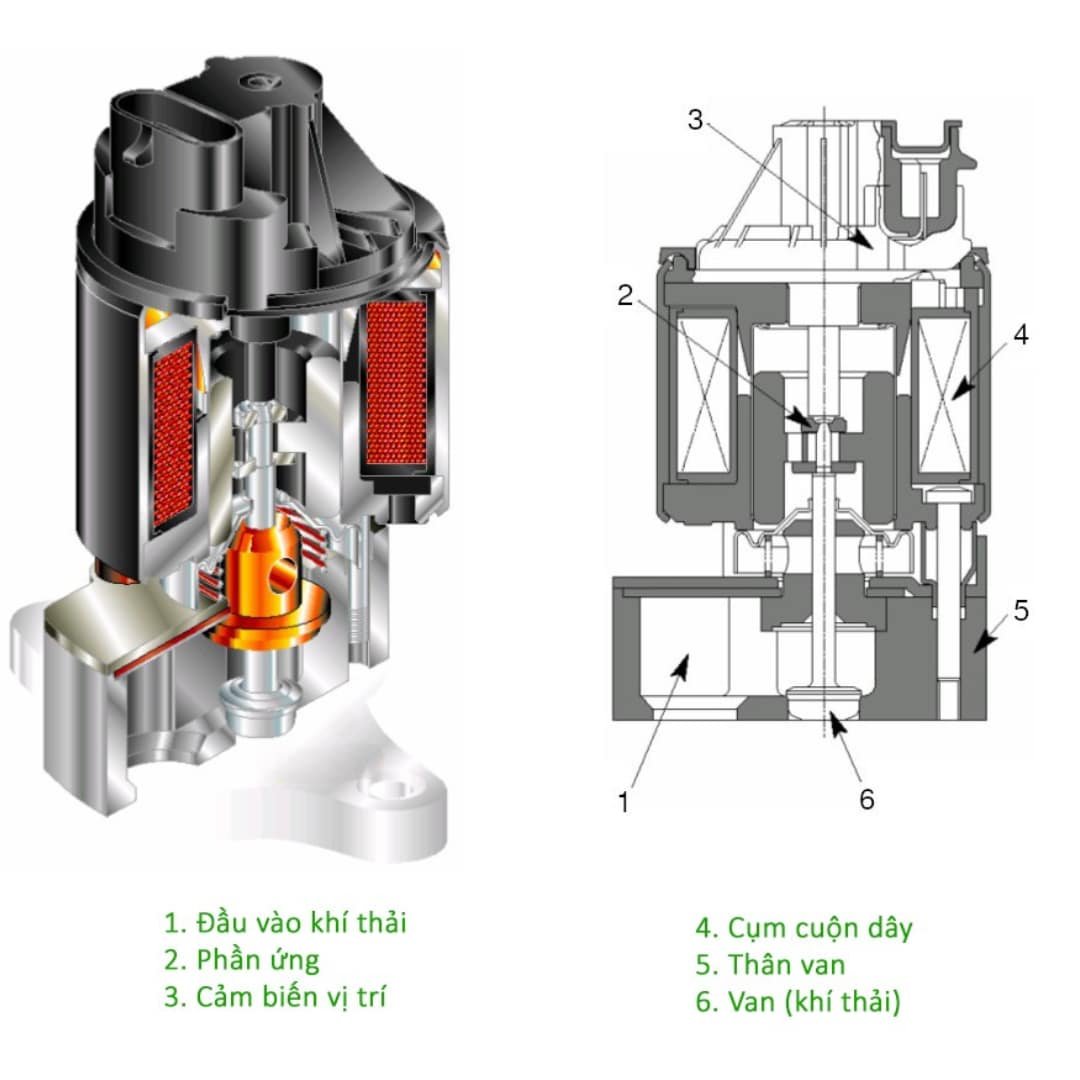 CÁC THÀNH PHẦN VAN TUẦN HOÀN KHÍ THẢI - EGR