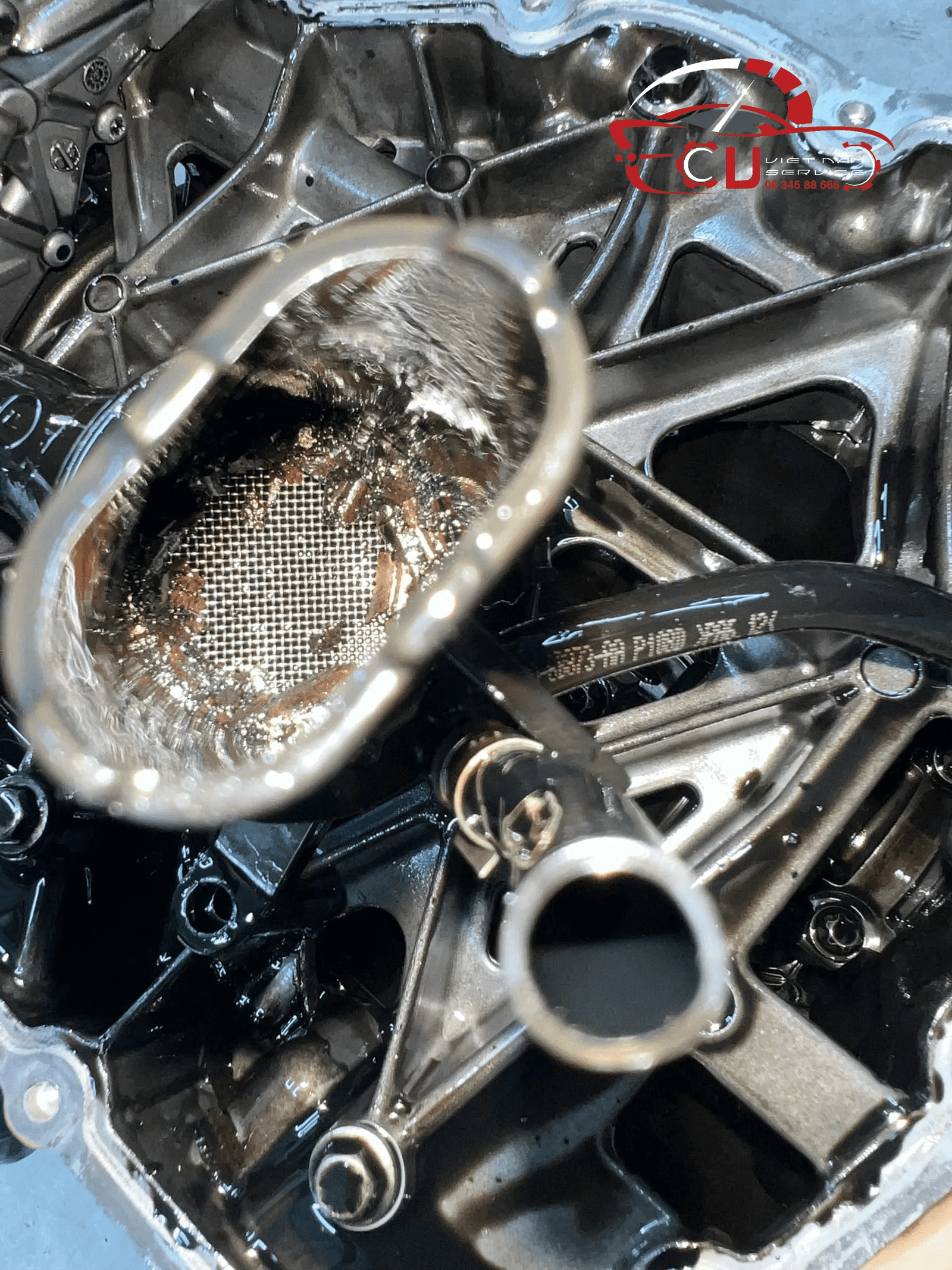 ĐẠI TU ĐỘNG CƠ FORD RANGER RAPTOR