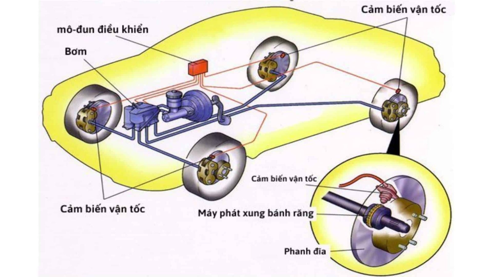 NGUYÊN NHÂN XE BÁO LỖI ABS VÀ CÁCH KHẮC PHỤC