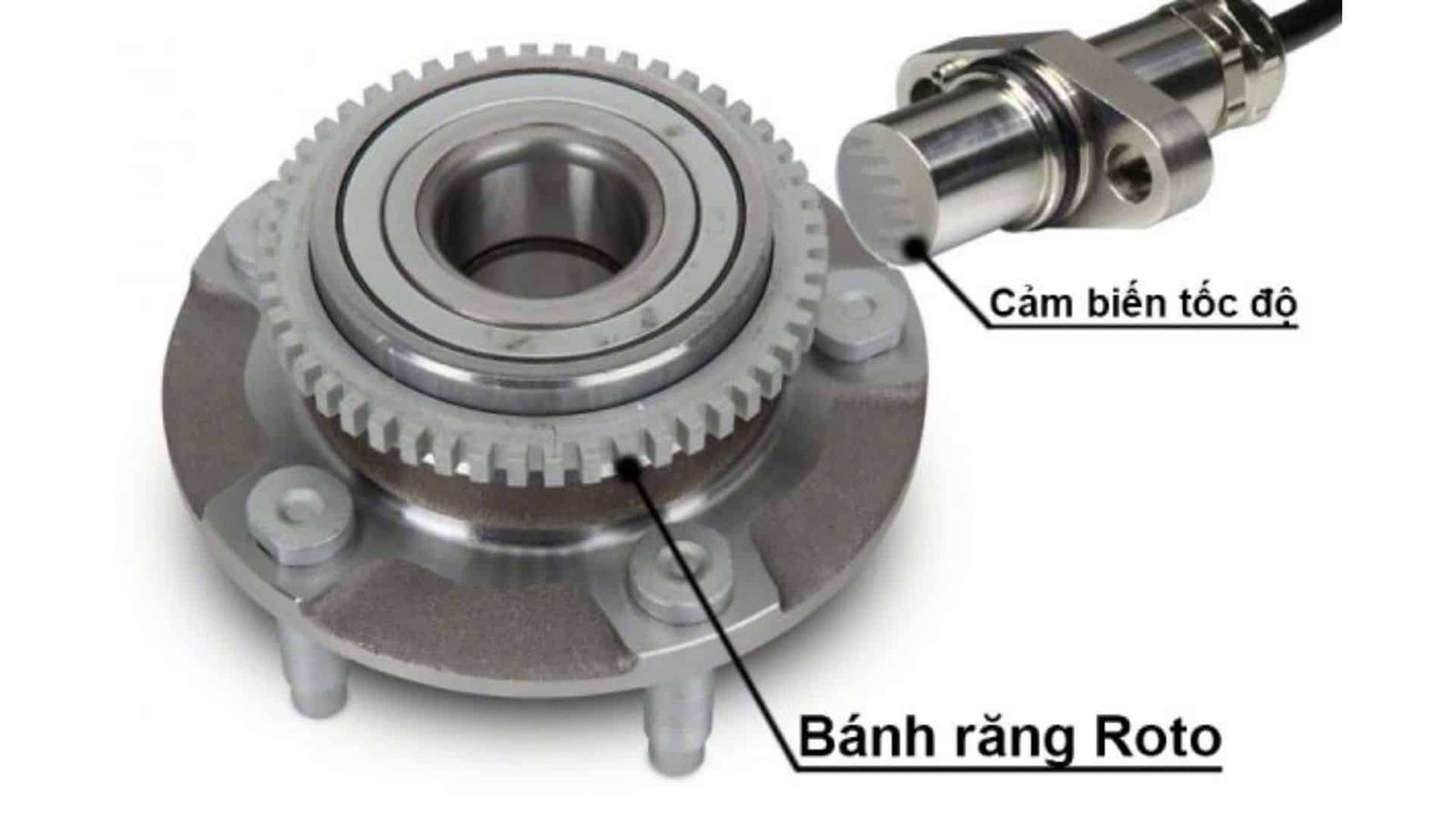 NGUYÊN NHÂN XE BÁO LỖI ABS VÀ CÁCH KHẮC PHỤC