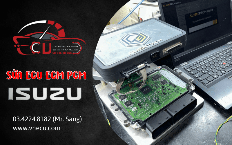 Phân biệt giữa ECM và ECU