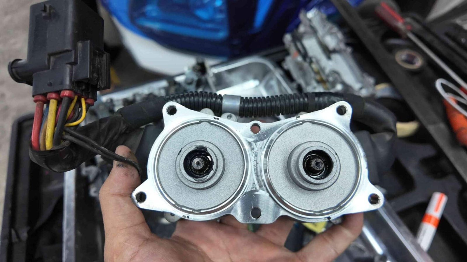 Hỏi Đáp Thường Gặp (FAQ)