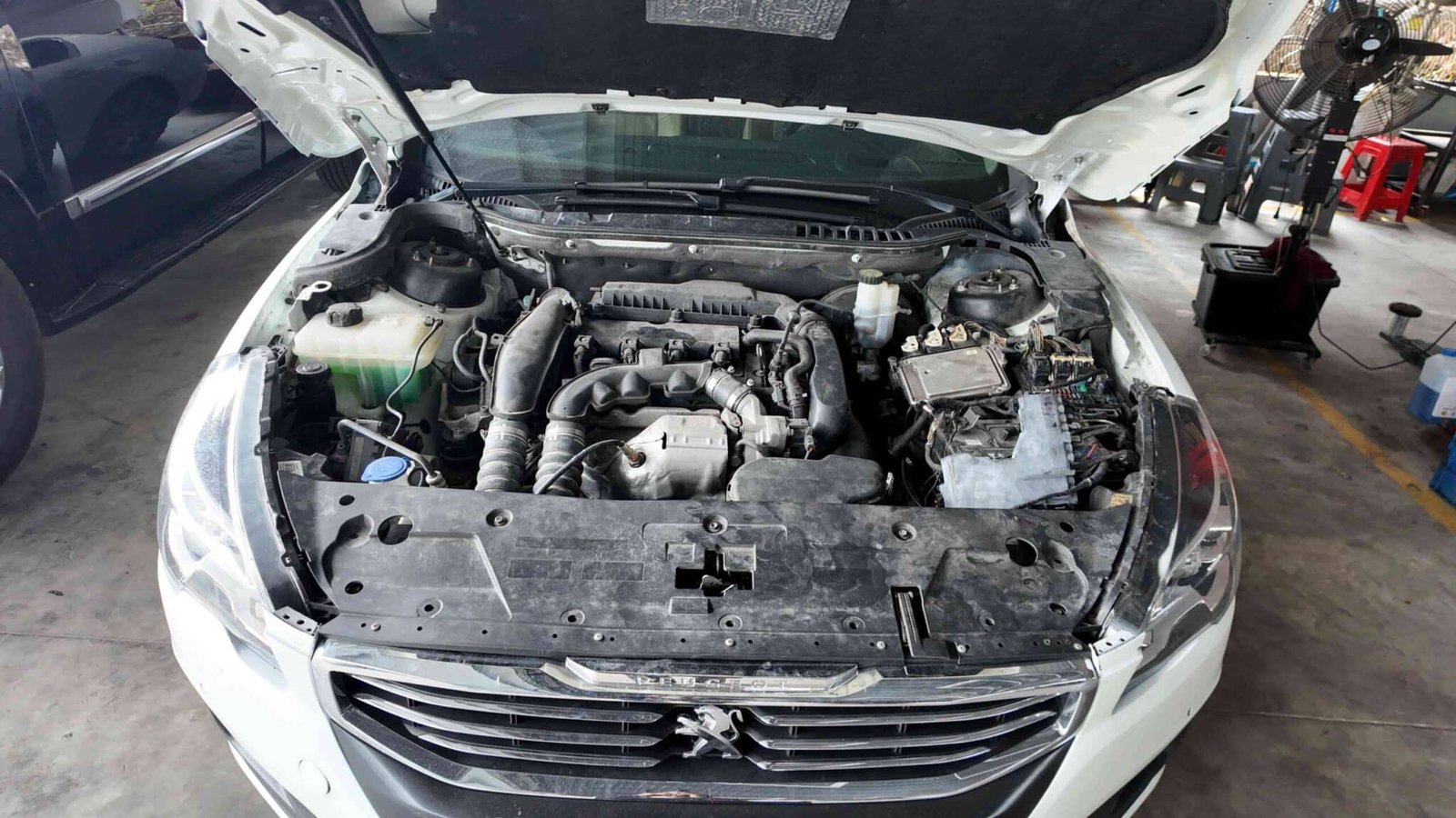 Dịch Vụ Bảo Dưỡng Hệ Thống Gầm Peugeot 508 tại Ves Workshop