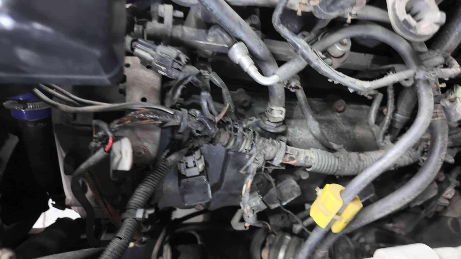 các câu hỏi thường gặp