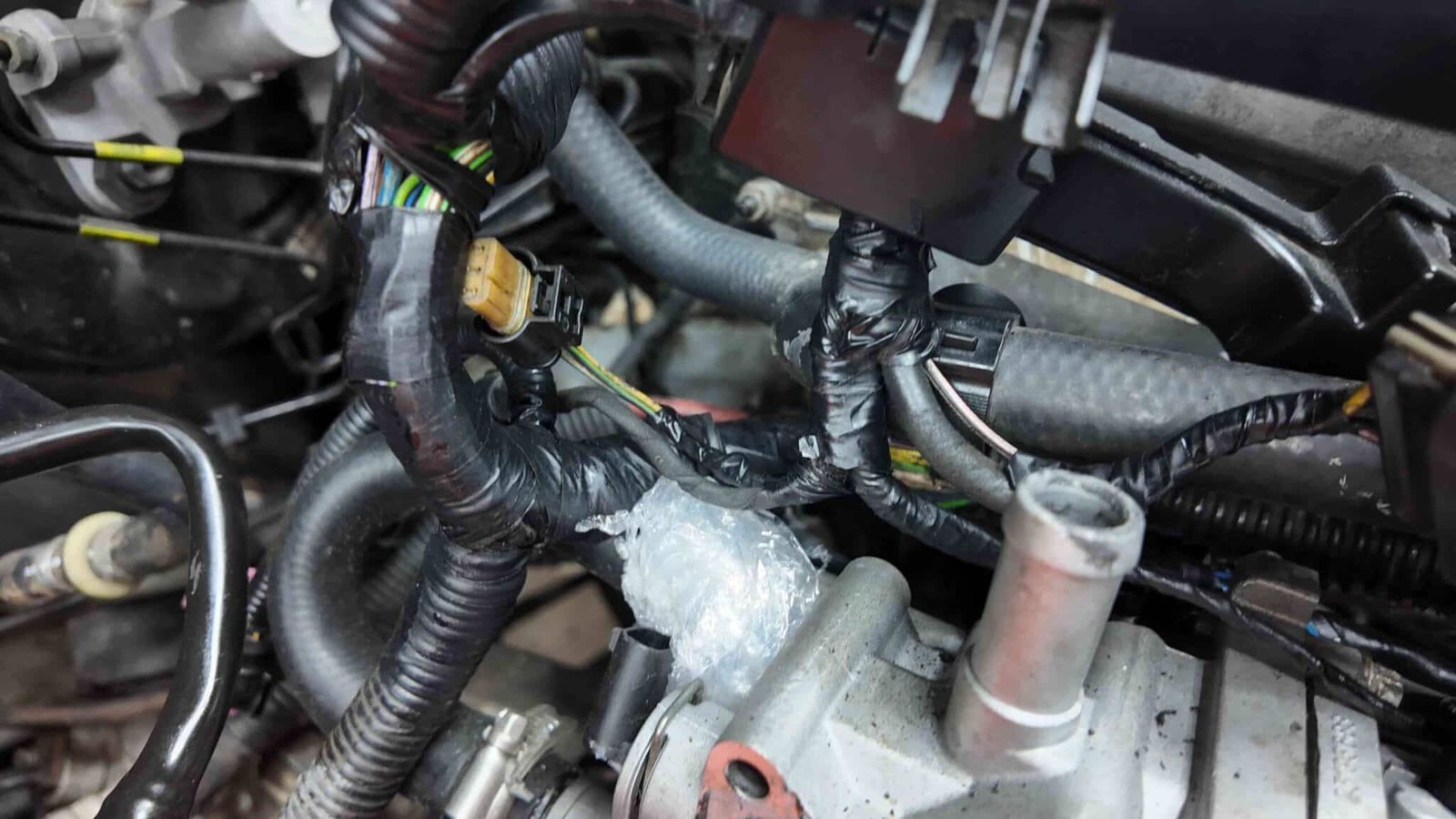 Câu hỏi thường gặp (FAQ)