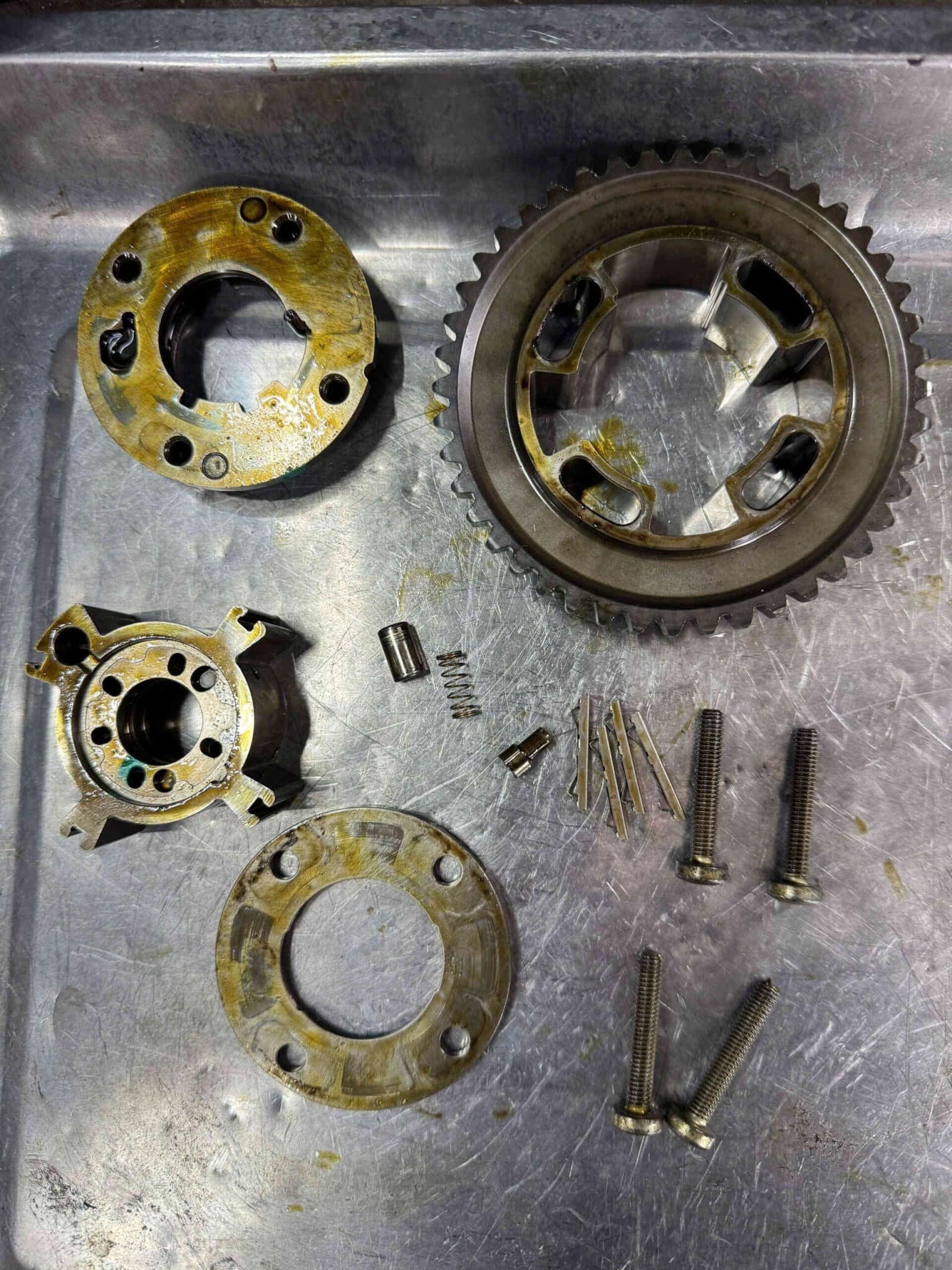 Triệu Chứng Và Nguyên Nhân Lỗi Sên Cam