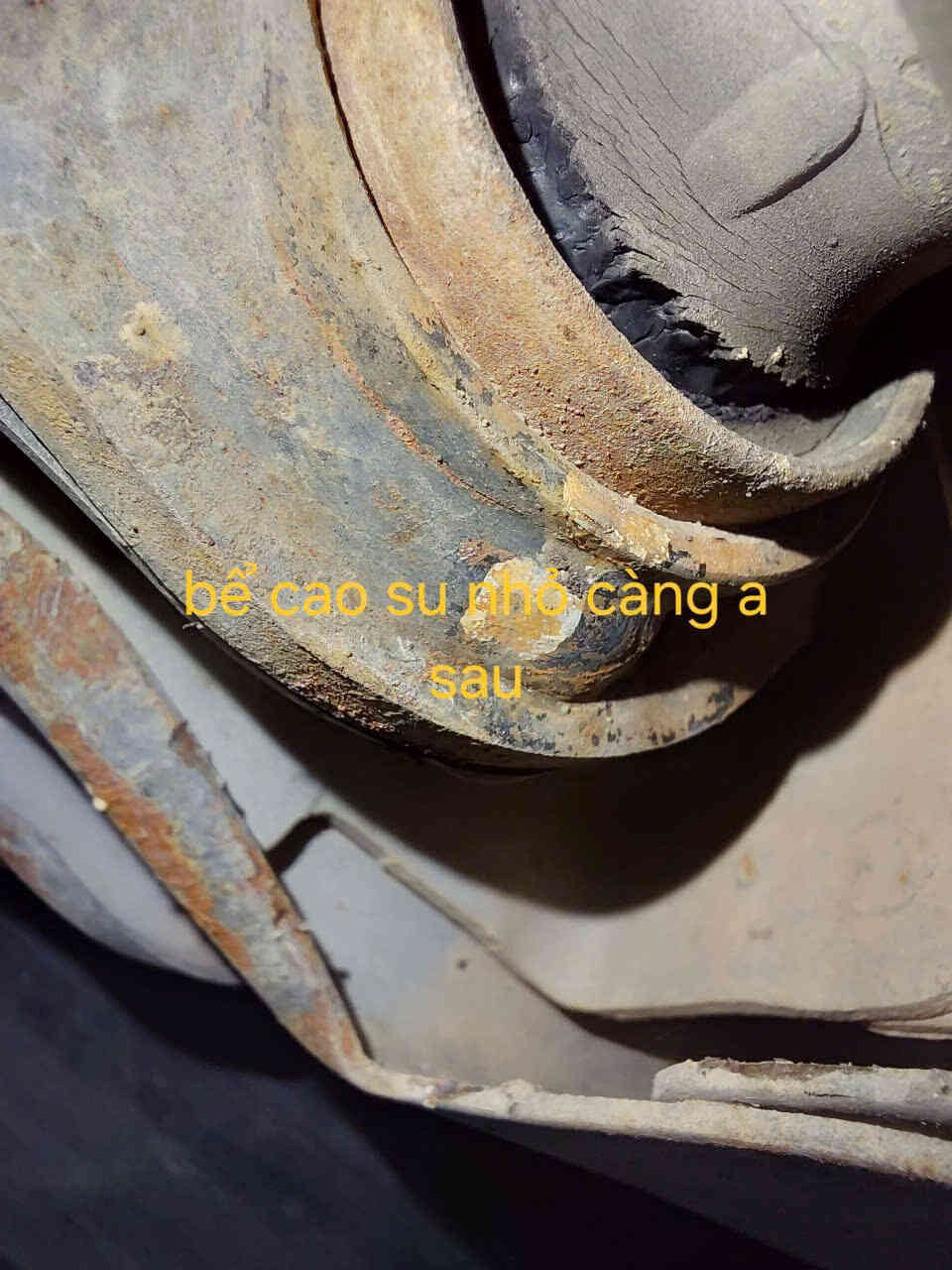 Dấu hiệu nhận biết và nguyên nhân chi tiết