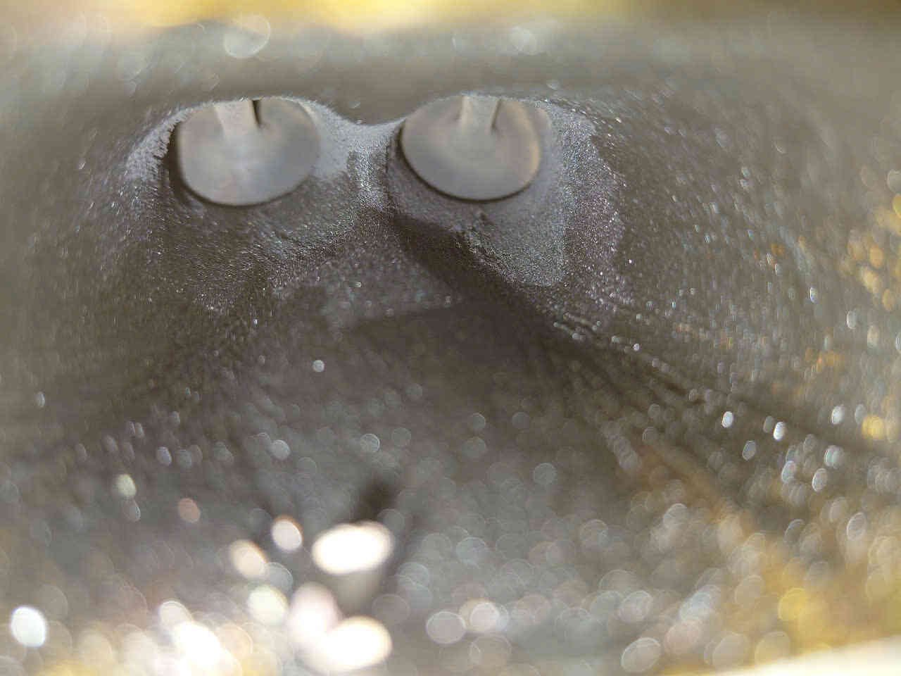 Tại Sao Cần Vệ Sinh Kim Phun Xăng Điện Tử Honda CR-V 2019?