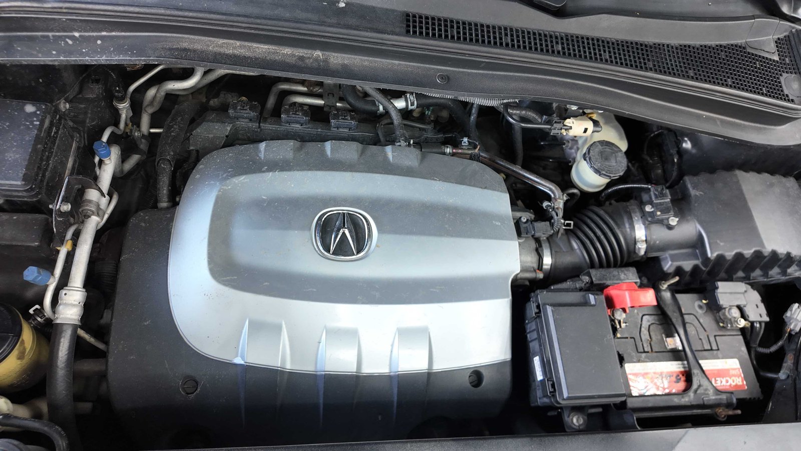 Phương pháp bảo dưỡng ngăn ngừa chuột cắn dây điện