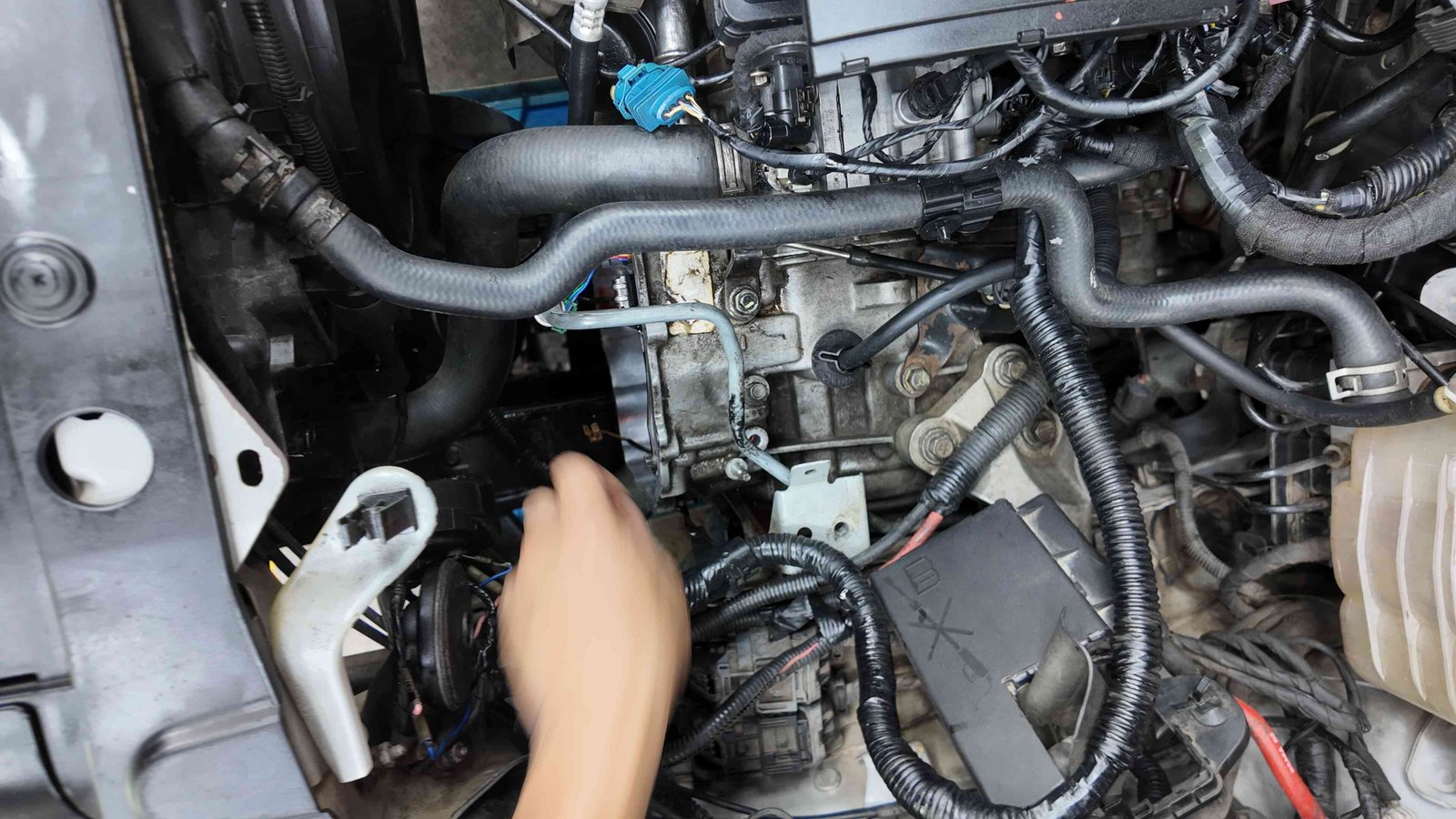 Dịch Vụ Kiểm Tra Chuyên Sâu Tại Ves Workshop