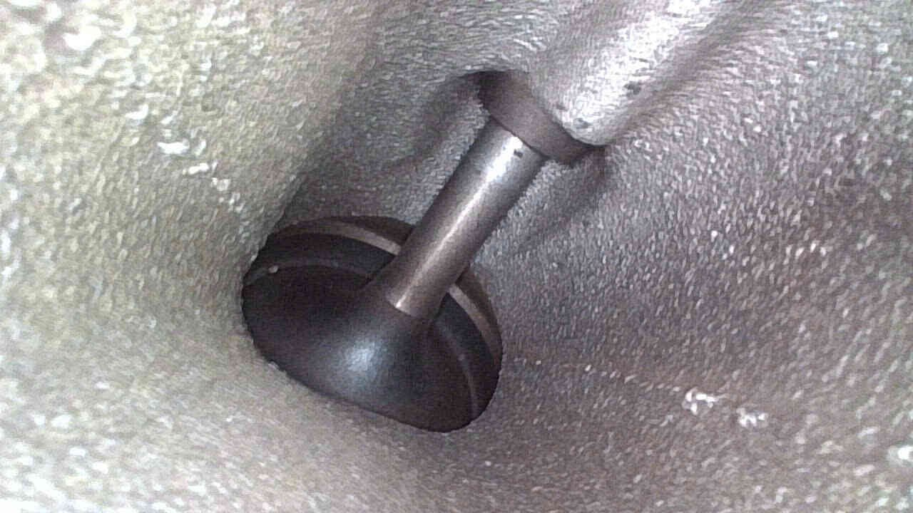 Câu hỏi thường gặp (FAQ)