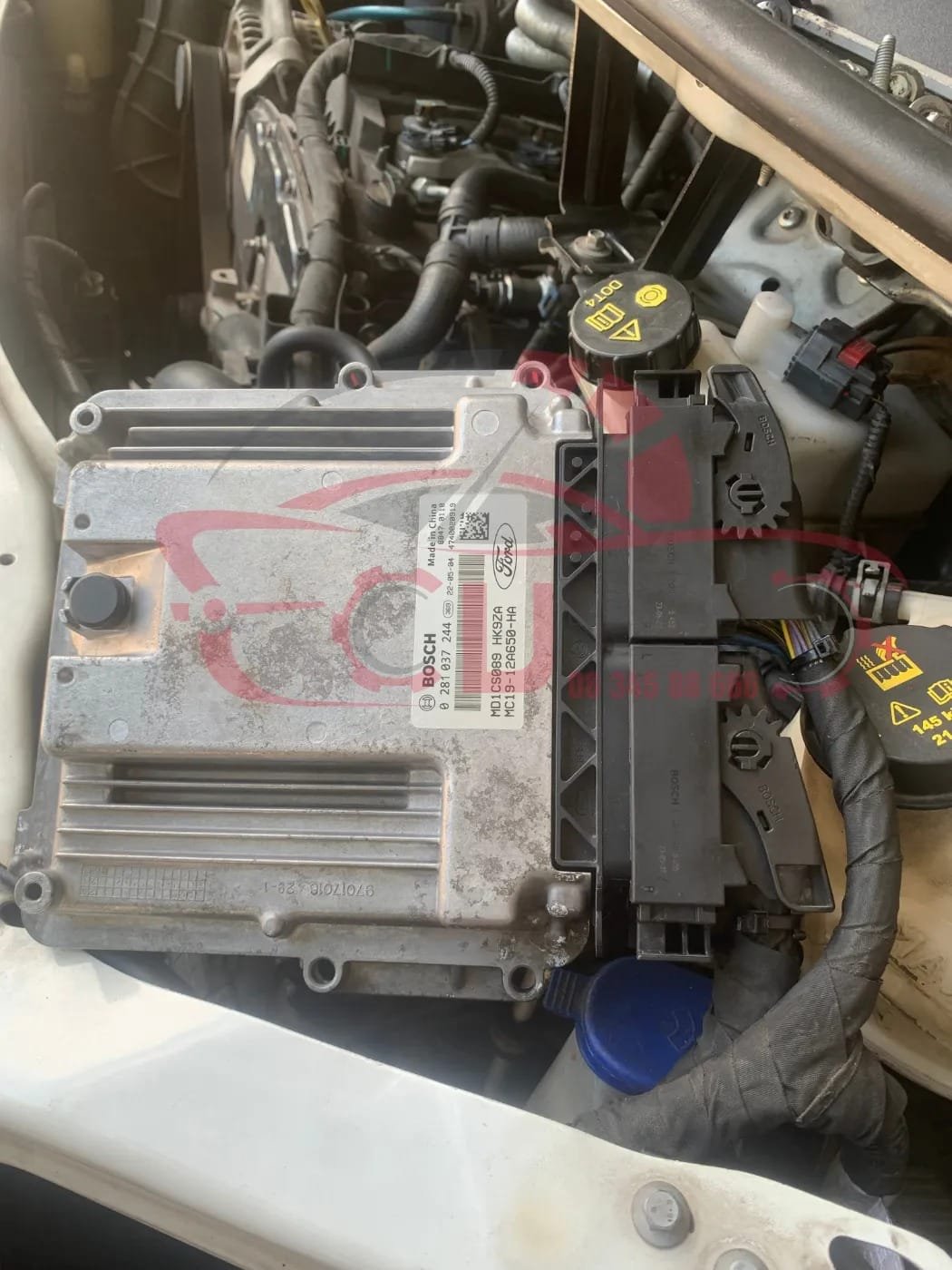 SỬA CHỮA LỖI KHÍ THẢI ADBLUE SCR DPF EGR XE FORD TRANSIT EURO 5 BẢO HÀNH TRỌN ĐỜI 7 SỬA CHỮA LỖI KHÍ THẢI ADBLUE SCR DPF EGR XE FORD TRANSIT EURO 5 BẢO HÀNH TRỌN ĐỜI