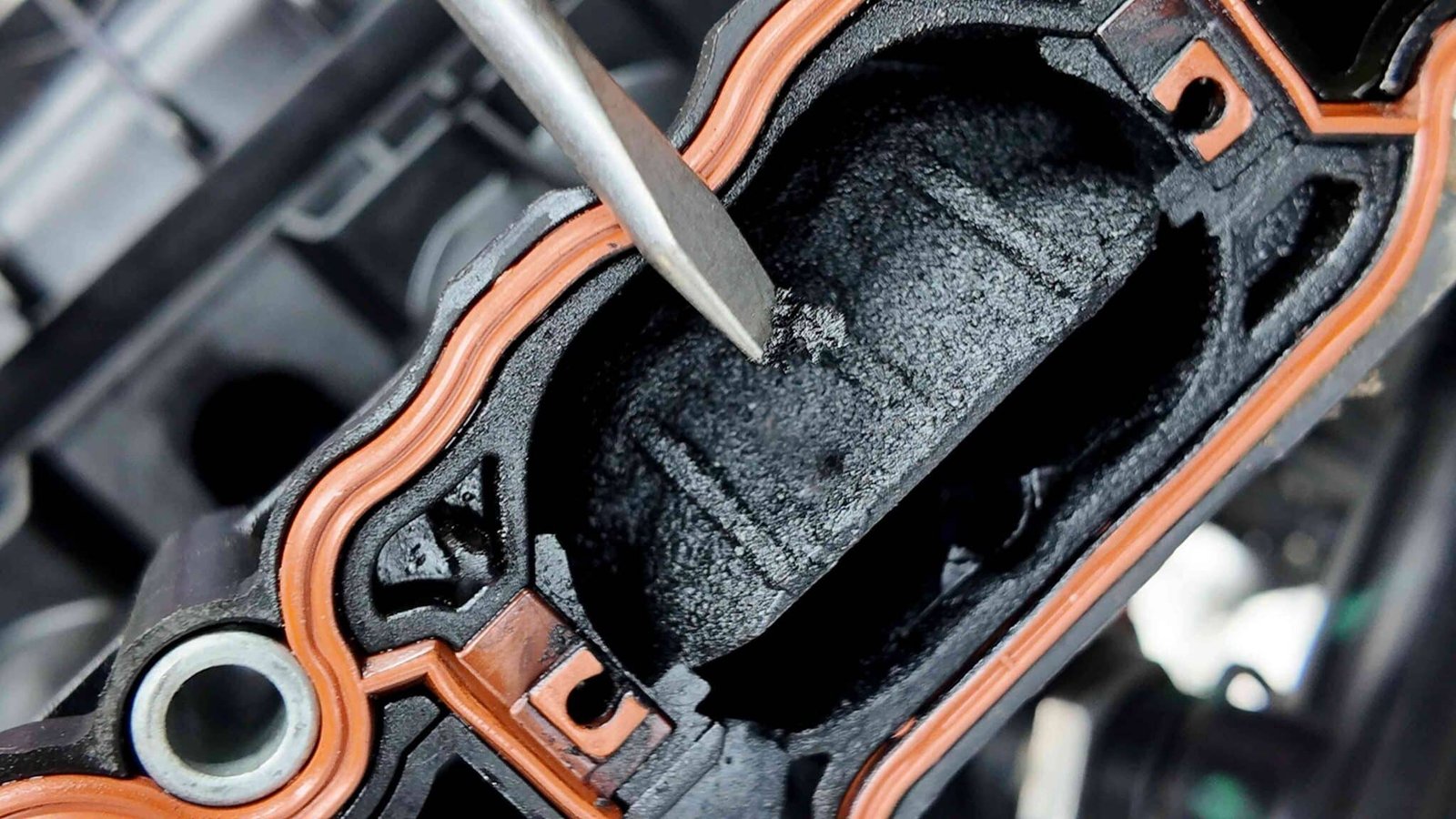 Các Tác Hại Nếu Không Vệ Sinh Họng Nạp Định Kỳ Các Tác Hại Nếu Không Vệ Sinh Họng Nạp Định Kỳ