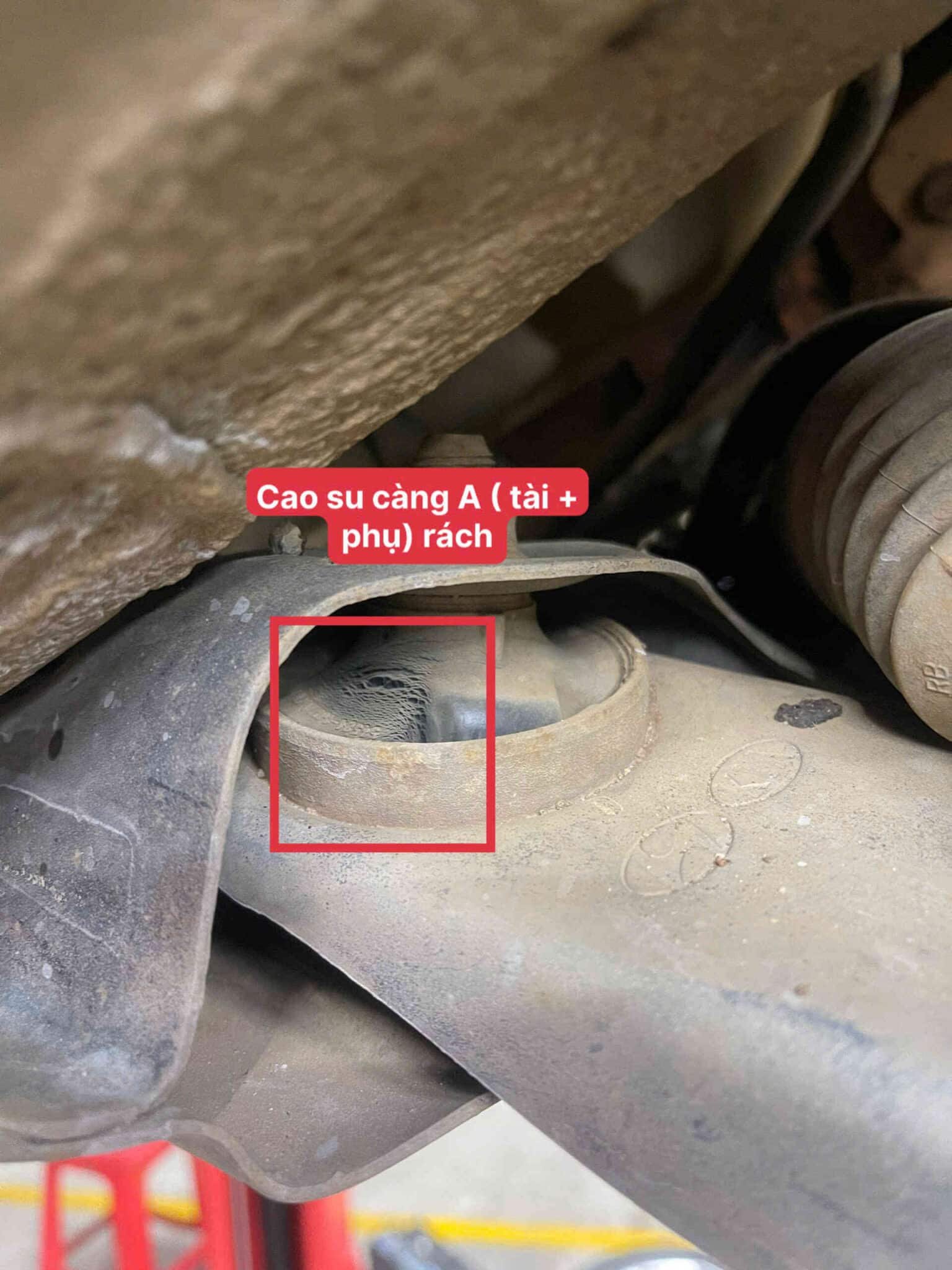 Quy trình sửa chữa chi tiết và chuyên nghiệp tại Ves Workshop: